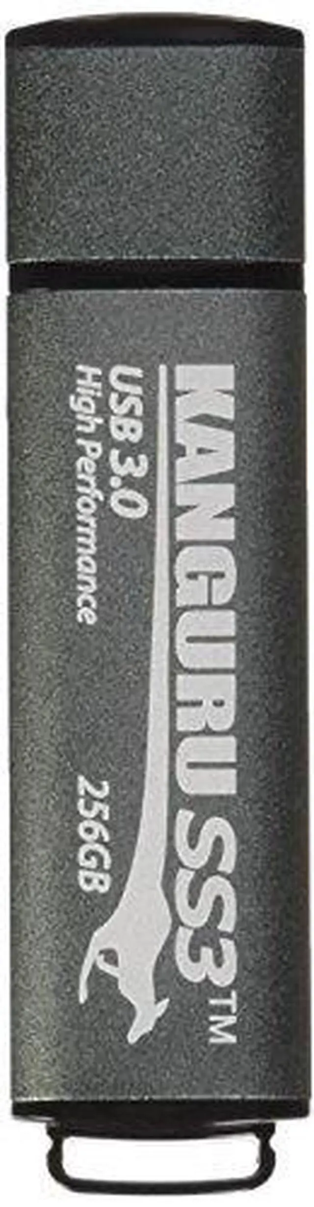 Main image of Patriot Memory Supersonic Rage Lite USB 3.2 Gen 1 Flash Drives 256GB PEF256GRLB32U