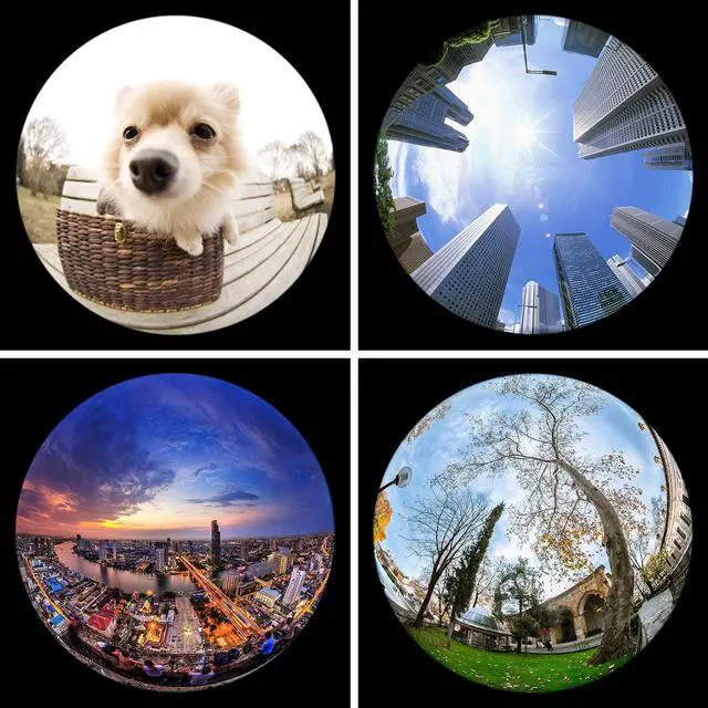 Alt view image 4 of 7 - KEYWING Fisheye Lens, 198° Fish Eye Phone Camera Lens Kit for iPhone | Fish Bowl Camera Lens, Phone Lens Accessories, Lens Attachments for iPhone 6 7 8 X Samsung Smartphone