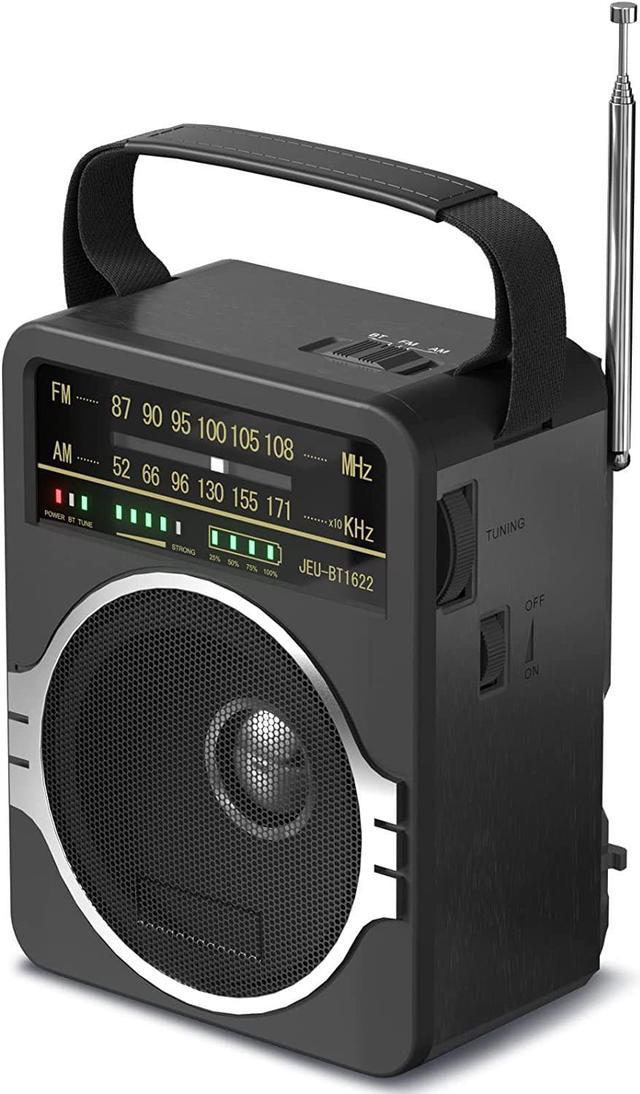 Plug Radio Portable Bluetooth Speaker with FM Radio and Power Bank, Gadgetsin