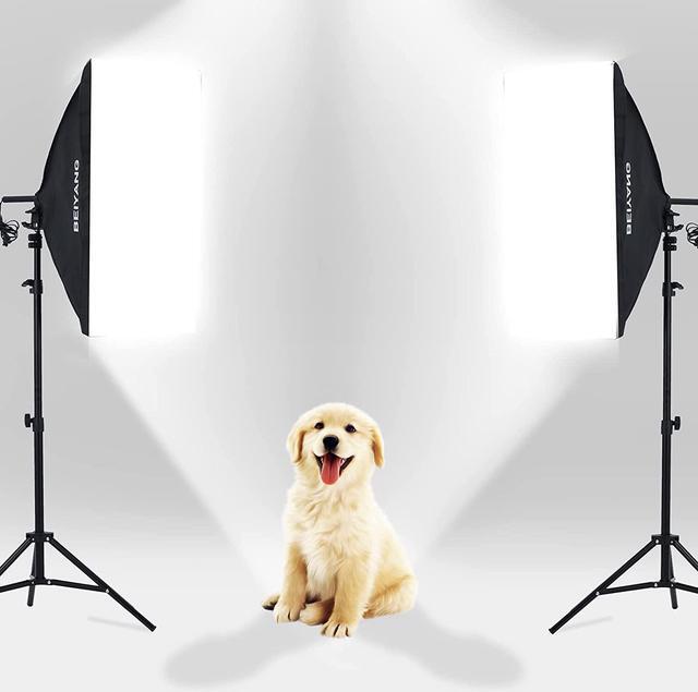 Alt view image 7 of 7 - Softbox Lighting Kit Photography Soft Box 20'' X 28'', 85W Studio 6000k Bulb LED Light, 6.7'Light Stand, Remote Set, BEIYANG