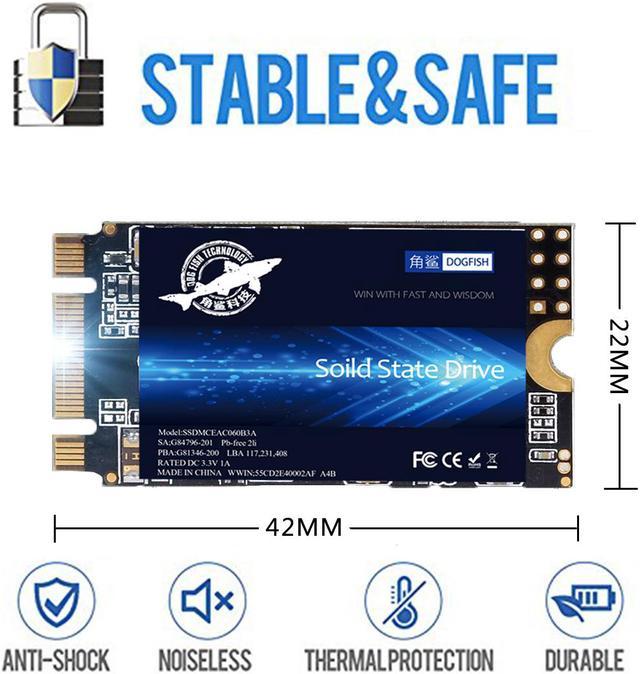 M.2 2242 SSD 1TB Dogfish 3D NAND QLC SATA III 6 Gb/s, Internal