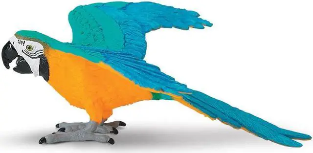 Main image of Safari Blue & Gold Macaw
