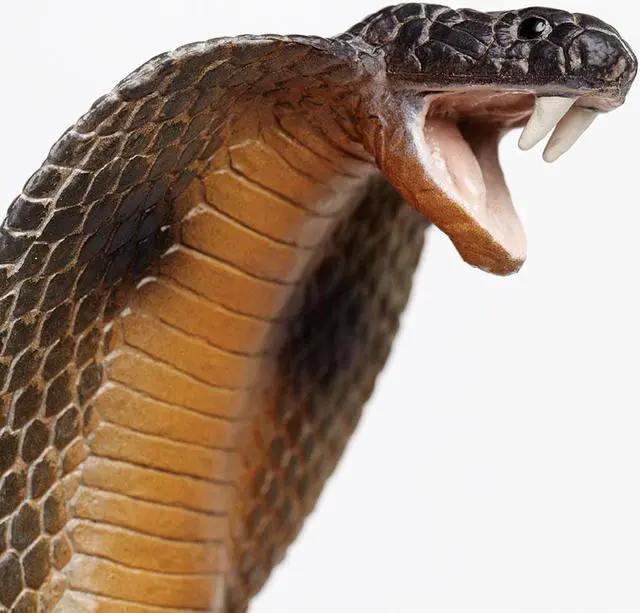 Alt view image 10 of 13 - Safari 260329 Posable Coiling Cobra Animal Figure