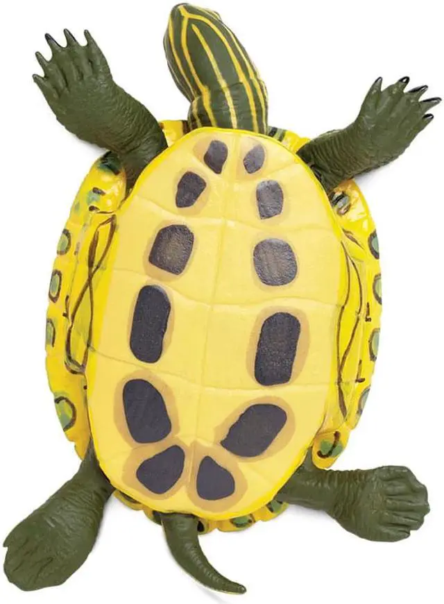 Alt view image 8 of 11 - Safari 269529 Incredible Creatures Red-Eared Slider Turtle