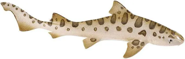 Alt view image 3 of 8 - Safari 274929 Leopard Shark Animal Figure