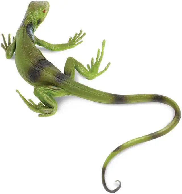 Alt view image 4 of 8 - Safari Incredible Creatures - Iguana Baby