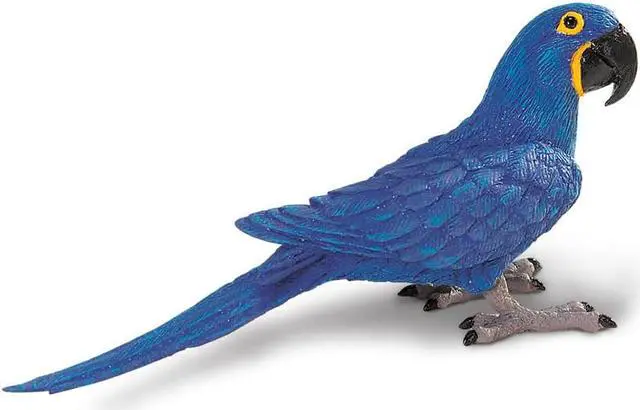 Alt view image 2 of 5 - Safari Hyacinth Macaw