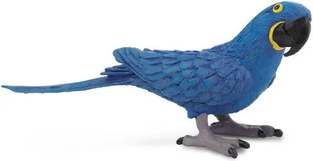 Alt view image 3 of 5 - Safari Hyacinth Macaw