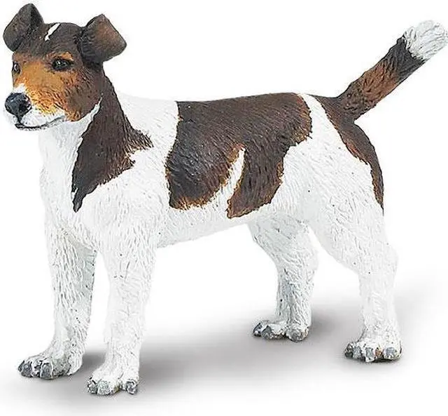 Alt view image 8 of 9 - Safari: Jack Russel Terrier