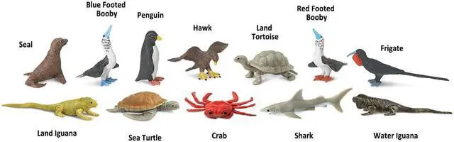 Alt view image 8 of 11 - Safari LTD Galapagos Toob