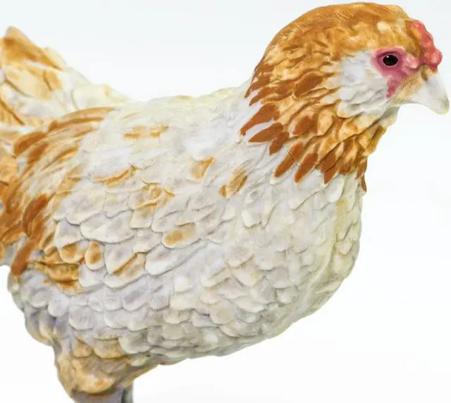Alt view image 4 of 9 - Safari Farm Ameraucana Chicken Safari Ltd Animal Educational Toy Figure