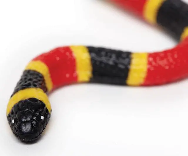 Alt view image 6 of 13 - Safari LTD Incredible CreaturesÂ® Coral Snake Baby
