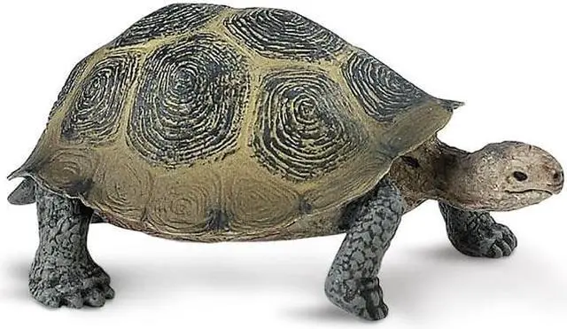 Alt view image 2 of 6 - Safari: Desert Toroise