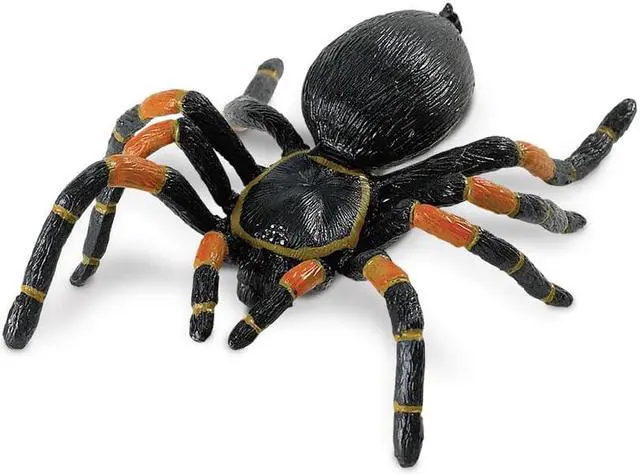 Alt view image 3 of 5 - Orange-Kneed Tarantula