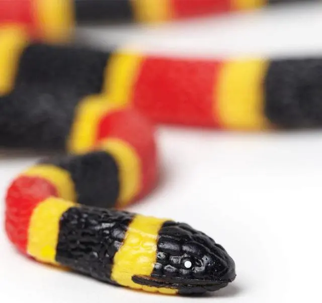 Alt view image 8 of 13 - Safari LTD Incredible CreaturesÂ® Coral Snake Baby