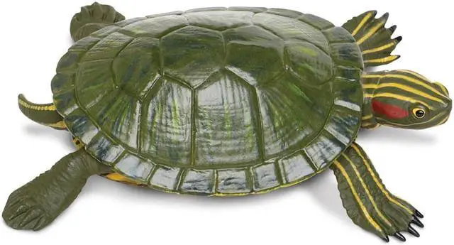 Alt view image 5 of 11 - Safari 269529 Incredible Creatures Red-Eared Slider Turtle