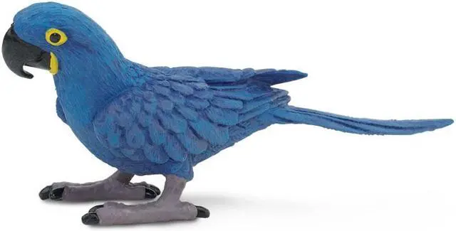 Alt view image 4 of 5 - Safari Hyacinth Macaw