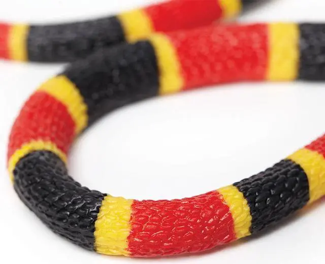 Alt view image 7 of 13 - Safari LTD Incredible CreaturesÂ® Coral Snake Baby