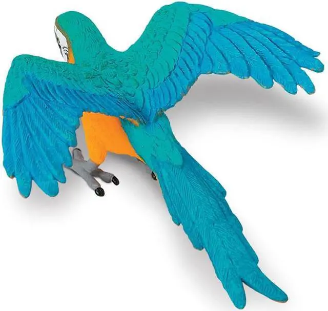 Alt view image 2 of 6 - Safari Blue & Gold Macaw