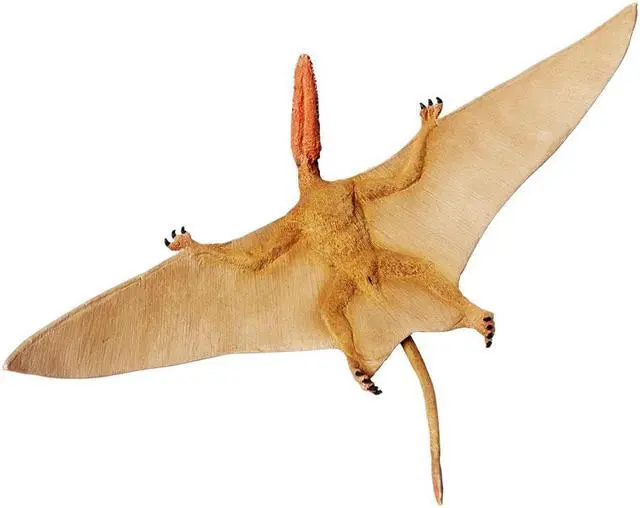 Alt view image 5 of 6 - Safari Ltd Wild Safari Dinosaurs Dimorphodon