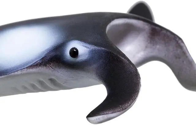 Alt view image 9 of 11 - Safari Wild Safari Sealife Manta Ray