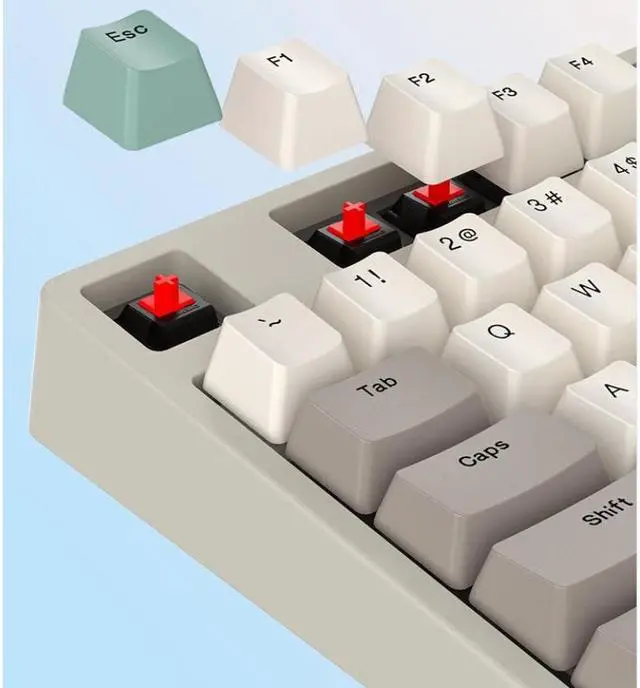 Alt view image 3 of 3 - iKBC Typeman W200 2.4Ghz Wireless 87 keys PBT Keycaps Mechanical Gaming Keybaord-Cherry MX Red (white&gray&green)