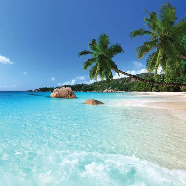 Main image of Beach 40" x 40"  Print On Canvas Painting Wall Art For Wall Décor  (Frameless)