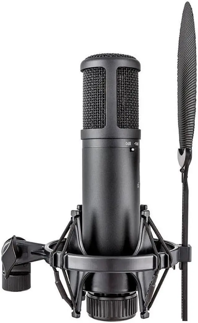 Alt view image 4 of 20 - sE Electronics sE2200 Large Diaphragm Condenser Microphone