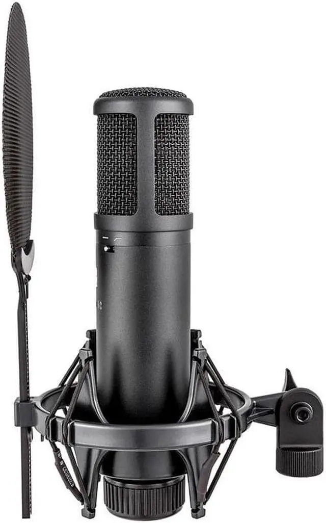 Alt view image 5 of 20 - sE Electronics sE2200 Large Diaphragm Condenser Microphone