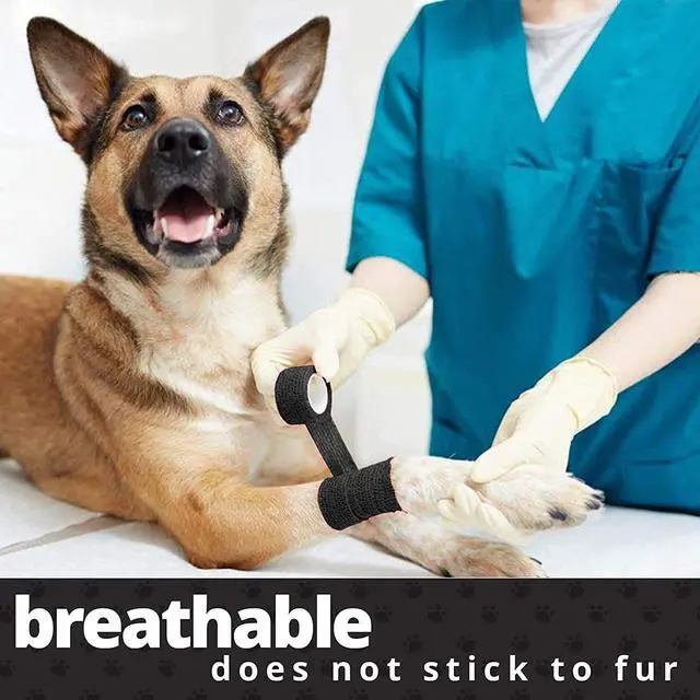 Alt view image 2 of 7 - Vet Wrap - (Pack of 12-2 inch x 5 Yard Rolls) Self Adherent Wrap Cohesive Compression Bandage and Medical Gauze Bandage Roll Tape for Dogs, Cats, Horses, Black