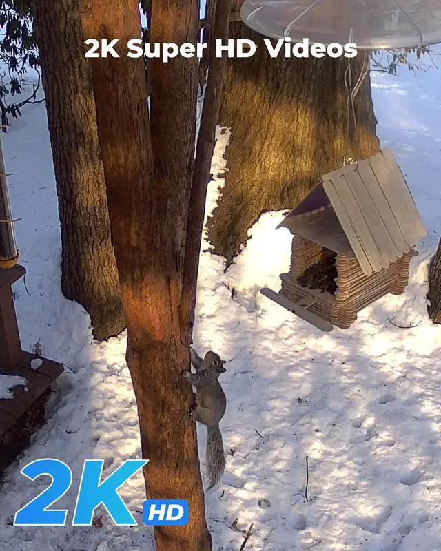 Alt view image 4 of 7 - Reolink 4G LTE Cellular Outdoor Security Camera, Wireless Battery/Solar Powered, 2K Night Vision, Smart Person/Vehicle Detection, Time Lapse, No WiFi Needed - Go Plus with Black Solar Panel