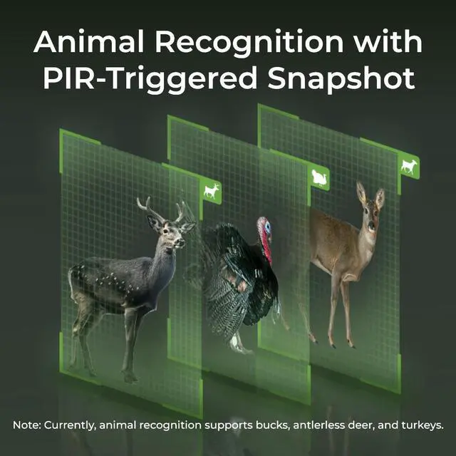 Alt view image 6 of 7 - Reolink Cellular Trail Camera Wireless Outdoor, 3G/4G LTE, Solar Powered Game Camera with 360° Pan Tilt, 2K Night Vision, Smart Motion Activated, No-Glow IR, No WiFi - Go Ranger PT+Solar Panel