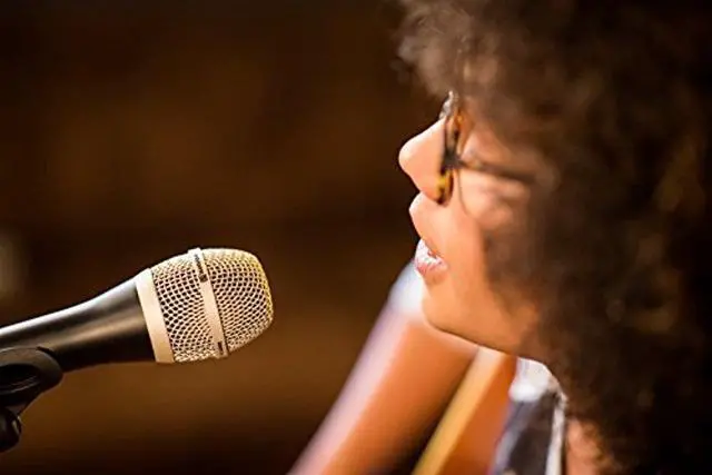 Alt view image 6 of 13 - Beyerdynamic TG-V50D Dynamic Cardioid Microphone for Vocals