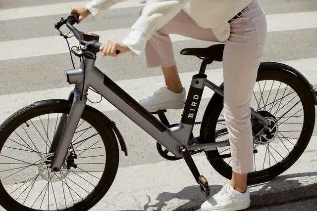 Alt view image 6 of 6 - BIRD - A-FRAME EBIKE W/ 50MI MAX OPERATING RANGE & 20 MPH MAX SPEED - GRAVITY GRAY