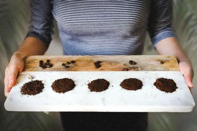 Alt view image 4 of 6 - BRIM - 6.4-OZ. CONICAL BURR COFFEE GRINDER - STAINLESS STEEL