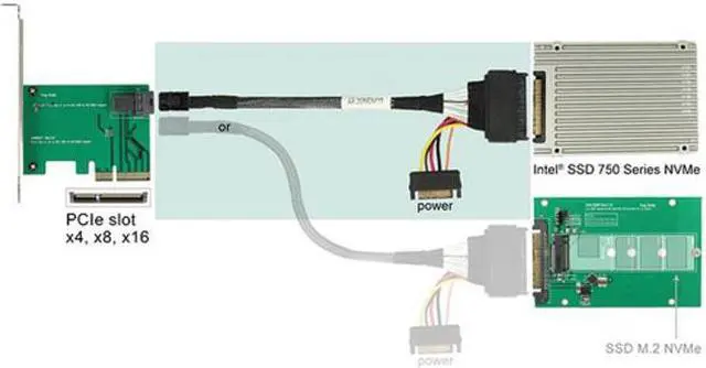 Alt view image 6 of 7 - Jimier CY SF-093 U.2 U2 SFF-8639 NVME PCIe SSD Cable for Mainboard Intel SSD 750 p3600 p3700 M.2 SFF-8643 Mini SAS HD