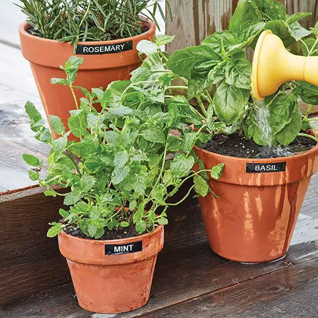 Alt view image 6 of 7 - Label Maker | LabelManager 160 Portable Label Maker EasytoUse OneTouch Smart Keys QWERTY Keyboard Large Display for Home amp Office Organization