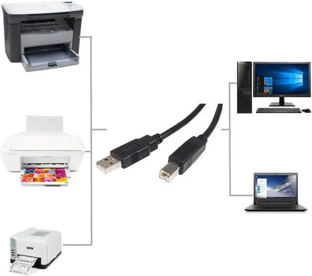 Alt view image 4 of 5 - USB Printer Cable Werleo 6ft USB 2.0 Type A Male to B Male High Speed Connectors Printer Scanner Cord A Male to B Male for Brother HP Canon Lexmark Epson Dell Xerox Samsung etc