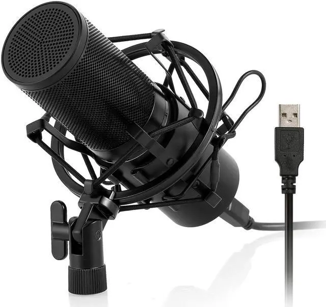 Main image of Werleo Professional Studio Condenser Microphone Computer PC Microphone Kit with Shock Mount USB Cable for PC Studio Recording Podcasting Youtube Karaoke