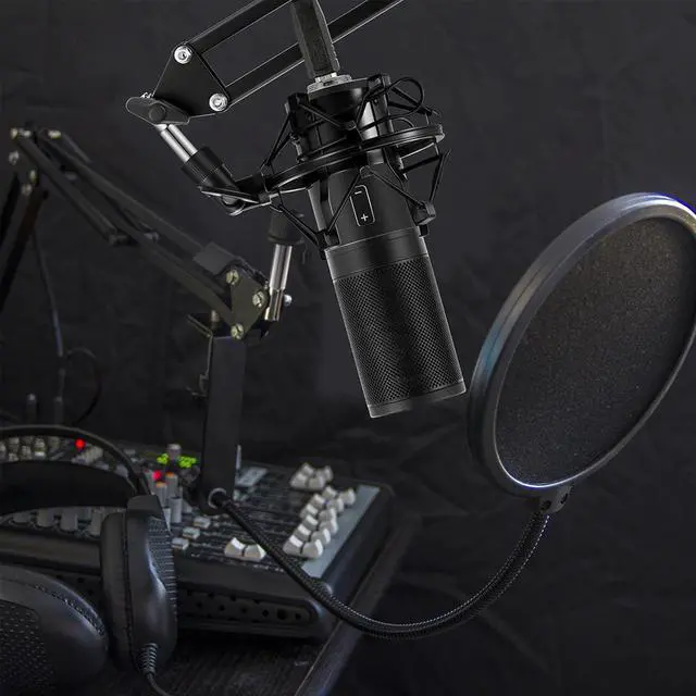 Alt view image 7 of 7 - Werleo Professional Studio Condenser Microphone Computer PC Microphone Kit with Shock Mount USB Cable for PC Studio Recording Podcasting Youtube Karaoke