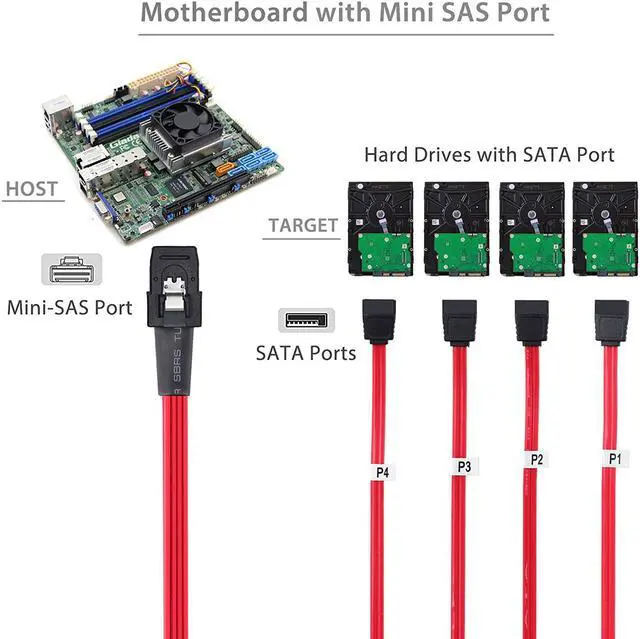 Alt view image 2 of 7 - Werleo 2 Packs Mini SAS 36Pin (SFF-8087) Male to 4 SATA 7Pin female Cable Mini SAS Host Internal Cable to target HDD Hard Drive Splitter Cable Red Color 0.5M