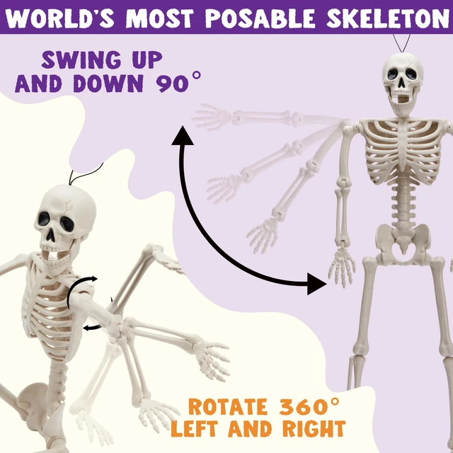 Alt view image 4 of 7 - 5 PCS Posable Halloween Skeleton Decor 16 Inches, Full Body Posable Joints Hanging Skeletons for Halloween Decorations, Graveyard Props, Haunted House Accessories, Spooky Scene Party Favors