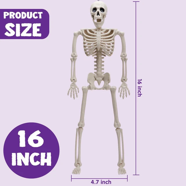 Alt view image 6 of 7 - 5 PCS Posable Halloween Skeleton Decor 16 Inches, Full Body Posable Joints Hanging Skeletons for Halloween Decorations, Graveyard Props, Haunted House Accessories, Spooky Scene Party Favors