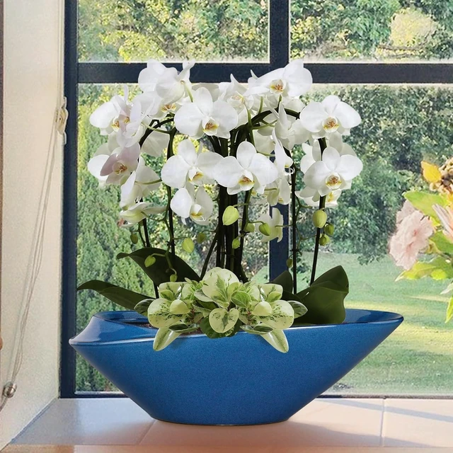 Alt view image 11 of 14 - Bonsai Pot - 18 Inch Ceramic Planter for Indoor Outdoor Plants Bonsai Tree Pot Modern Large Succulent Planter Decorative Plant Pot with Drainage Hole Blue
