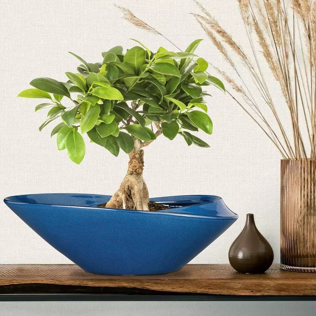 Alt view image 9 of 14 - Bonsai Pot - 18 Inch Ceramic Planter for Indoor Outdoor Plants Bonsai Tree Pot Modern Large Succulent Planter Decorative Plant Pot with Drainage Hole Blue