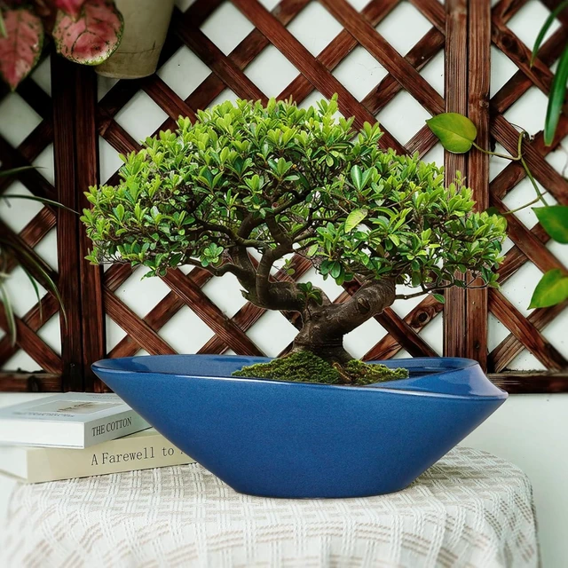 Alt view image 13 of 14 - Bonsai Pot - 18 Inch Ceramic Planter for Indoor Outdoor Plants Bonsai Tree Pot Modern Large Succulent Planter Decorative Plant Pot with Drainage Hole Blue