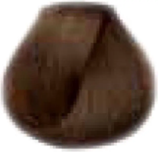 Alt view image 2 of 2 - Loreal Professionnel Paris Dia Light 5.31/5GB Light Golden Ash Blonde Demi-Permanent Acidic Gel-Creme Colorant No Ammonia 1.7oz 50ml