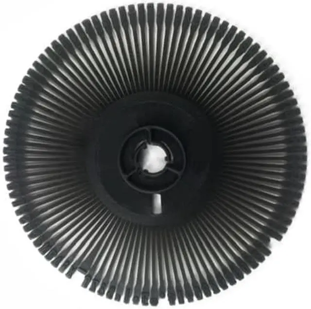 Main image of Nakajima/Swintec Bookface Academic 10 Printwheel by Rarotype