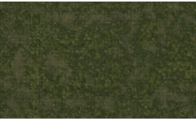 Alt view image 4 of 6 - D&D Icons of The Realms Grasslands Battle Mat | Large 3' x 5' Size | Vivid RPG Tabletop Scenery Accessory | Durable High-Quality Material | Enhance Your Gaming Experience | By WizKids