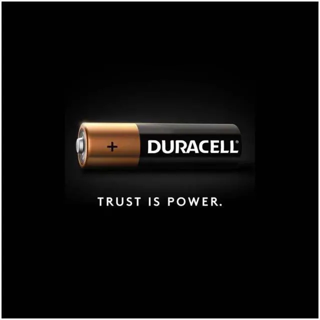 Alt view image 7 of 14 - CopperTop Alkaline AAA Batteries 24/Pack MN2400B240002